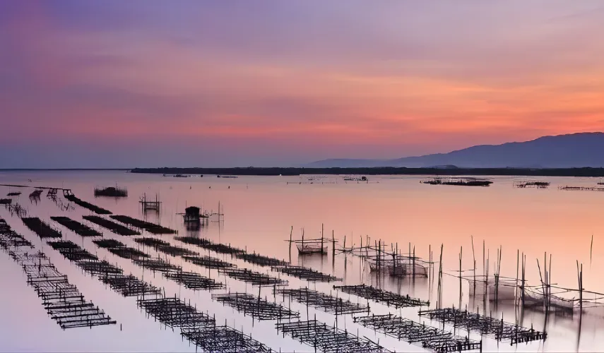 Zona di coltivazione di perle Akoya in Giappone